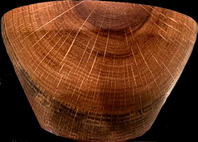 Found wood bowl